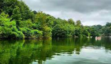 تور یک روزه جنگل و دریاچه الیمالات